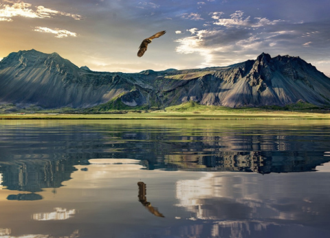 コストセーバー バケット リスト ニュージーランド