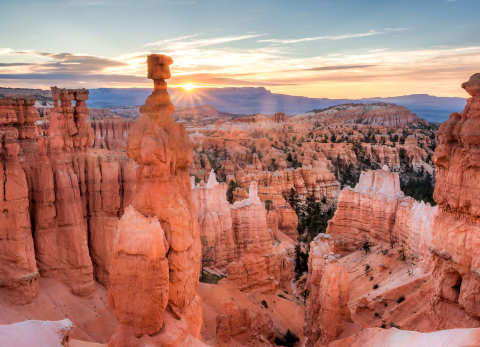 コストセーバー キャニオン カントリー ショーケースmap