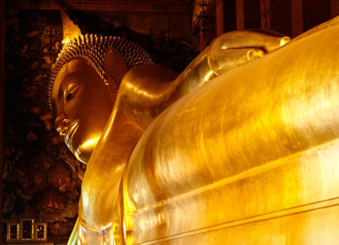 コストセーバー エッセンシャル タイランド