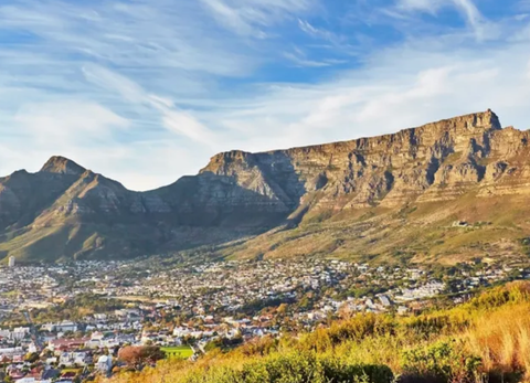 コストセーバー アイコンズ オブ サザン アフリカ